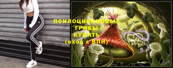 твердый Белокуриха