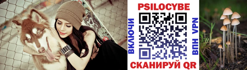 Псилоцибиновые грибы Psilocybe  hydra зеркало  Тамбов 
